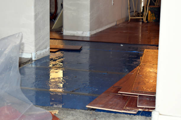 Professional Sewage Cleanup technician working in Pittstown, NJ